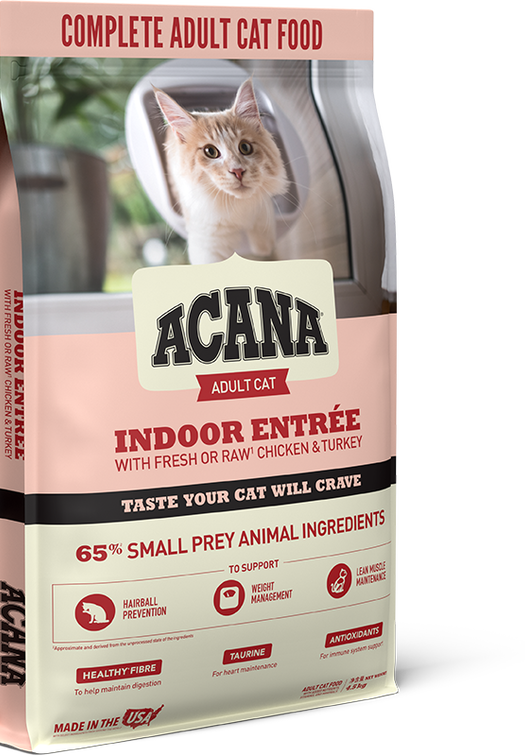Indoor Entrée